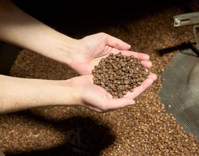 Coffee Freshness