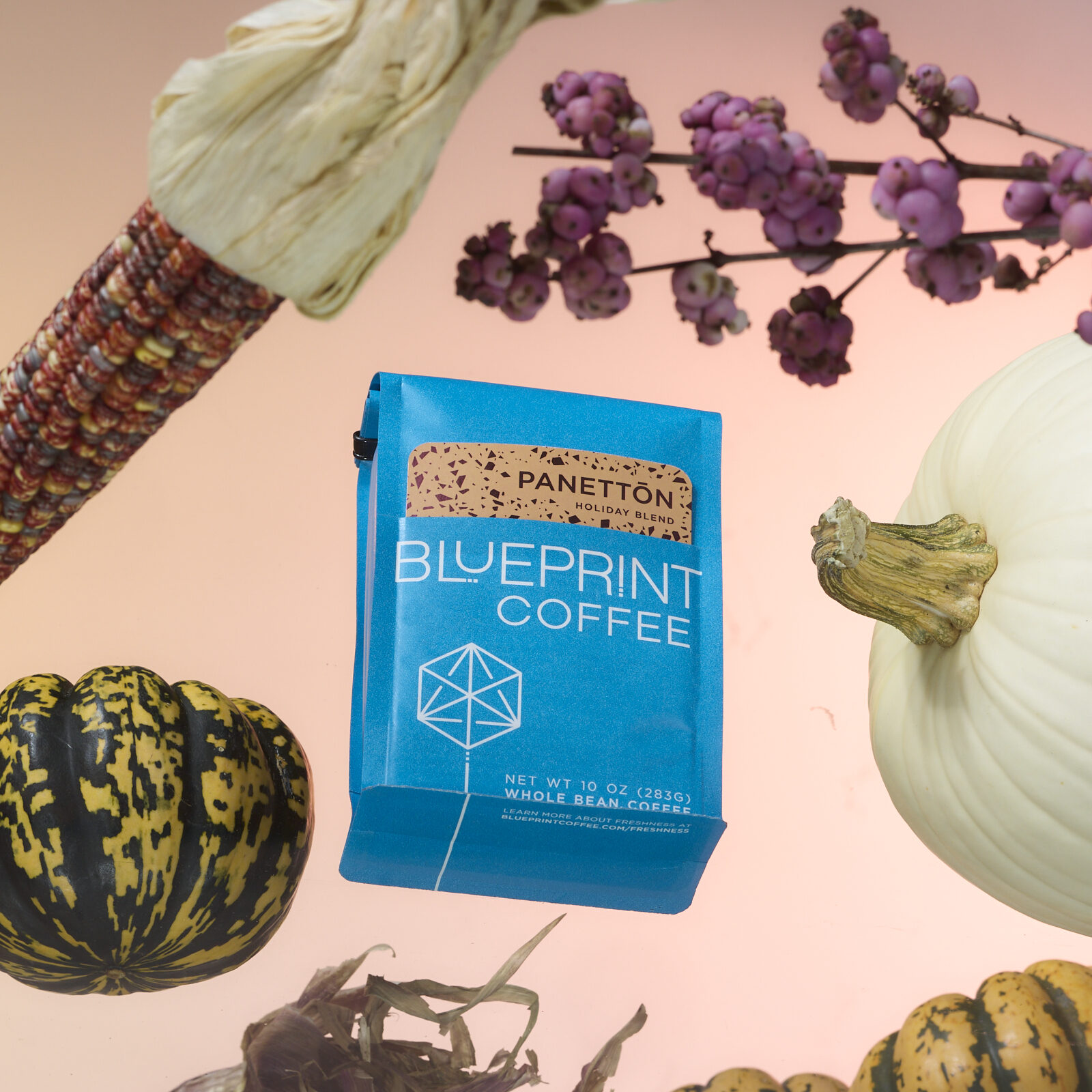 A blue 10 oz bag of Panettōn Holiday Blend is arranged with colorful dried corn, pumpkins, and purple flowers over a light peach background